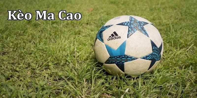 Tổng quan về tỷ lệ kèo ma cao