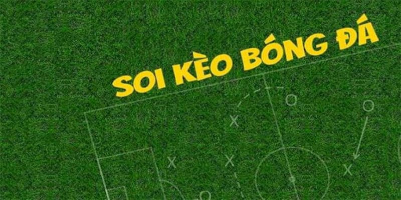 Nhận định bóng đá kèo nhà cái Hướng dẫn cách đọc và phân tích