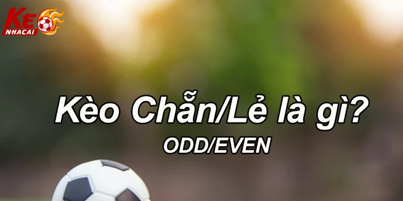 Ảnh giao diện lựa chọn kèo chẳn lẽ bóng đá trực tuyến